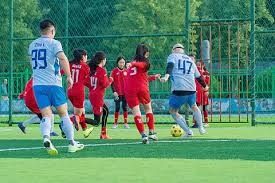 误判，意丁联赛中皮球从边网打进，裁判判罚进球有效